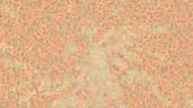 Benzersiz dijital animasyon tarzı grafikleri olan yaratıcı ortam tasarımı için yenilikçi hareket dokusu