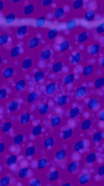 Dijital doku yüzey tasarım biçimi ile modern video animasyonu için gelişmiş hareket grafikleri