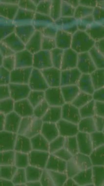 Organik desenli yüzey giriş stili video film sanatı ile soyut arkaplan tasarımı