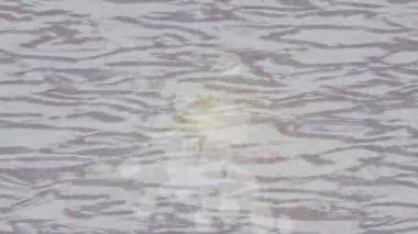 Estetik doku arkaplan tasarımı renkli hareket grafikleri ile moda film giriş profosyoneli