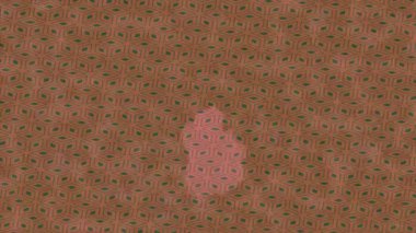 Lüks hareket tasarımı üst düzey video projeleri ve dijital sanat için zarif, pürüzsüz bir dokusu var.