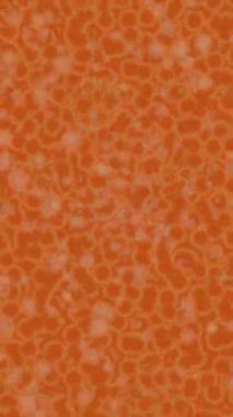 Yaratıcı video düzenleme film arkaplan tasarımı için minimalist organik hareket grafikleri