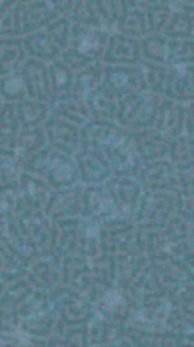 Benzersiz dijital hareket grafiklerine sahip yaratıcı sinematik projeler için yumuşak animasyon yüzeyi