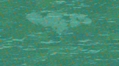 Benzersiz dijital animasyon tarzı grafikleri olan yaratıcı ortam tasarımı için yenilikçi hareket dokusu