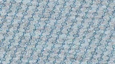 Estetik doku arkaplan tasarımı renkli hareket grafikleri ile moda film giriş profosyoneli