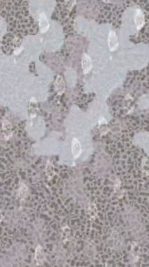 Benzersiz hareket dokusu tasarım sanatı ile profesyonel video düzenleme için modern soyut grafikler