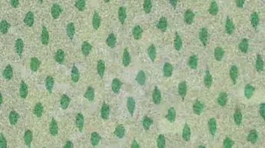 Lüks hareket projeleri için soyut tasarım stili animasyonu olan üst düzey dijital doku