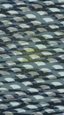 Lüks hareket tasarımı üst düzey video projeleri ve dijital sanat için zarif, pürüzsüz bir dokusu var.