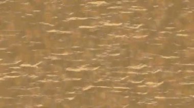 Benzersiz video giriş tasarımı projeleri için detaylı yüzey kalıbı film animasyon stili grafik girişi