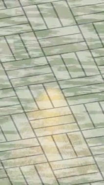 Benzersiz dijital hareket grafiklerine sahip yaratıcı sinematik projeler için yumuşak animasyon yüzeyi