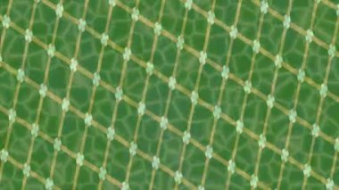 Benzersiz dijital hareket grafiklerine sahip yaratıcı sinematik projeler için yumuşak animasyon yüzeyi