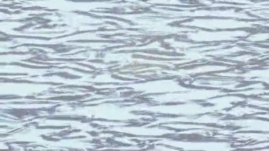 Benzersiz video giriş tasarımı projeleri için detaylı yüzey kalıbı film animasyon stili grafik girişi