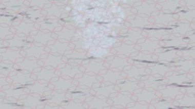 Benzersiz dijital hareket grafiklerine sahip yaratıcı sinematik projeler için yumuşak animasyon yüzeyi