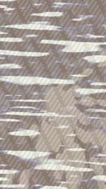 Benzersiz dijital hareket grafiklerine sahip yaratıcı sinematik projeler için yumuşak animasyon yüzeyi