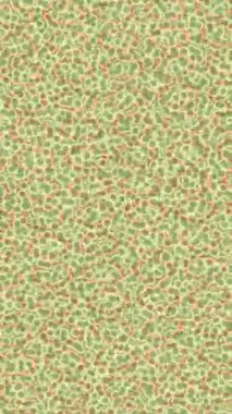 Benzersiz dijital hareket grafiklerine sahip yaratıcı sinematik projeler için yumuşak animasyon yüzeyi