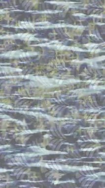 Yaratıcı video düzenleme film tasarımı için benzersiz hareket grafikleri biçimi giriş hareketi video pro