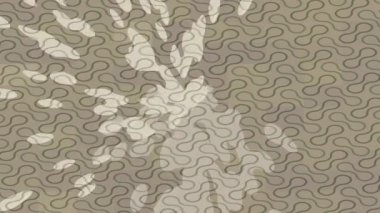 Benzersiz dijital hareket grafiklerine sahip yaratıcı sinematik projeler için yumuşak animasyon yüzeyi