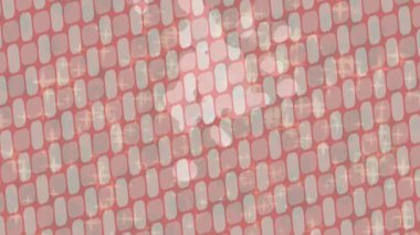 Yaratıcı video düzenleme film arkaplan tasarımı için minimalist organik hareket grafikleri