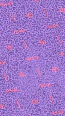 Soyut hareket desenli fütüristik video üretimi için dinamik dijital arkaplan