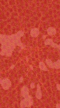 Benzersiz video giriş tasarımı projeleri için detaylı yüzey kalıbı film animasyon stili grafik girişi