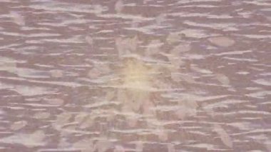 Benzersiz dijital hareket grafiklerine sahip yaratıcı sinematik projeler için yumuşak animasyon yüzeyi