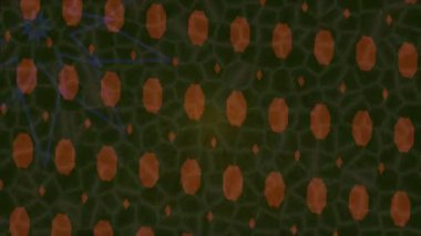 Profesyonel video projeleri sanat tarzı için organik hareketli arkaplan tasarımı