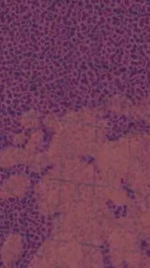 Dijital doku yüzey tasarım biçimi ile modern video animasyonu için gelişmiş hareket grafikleri