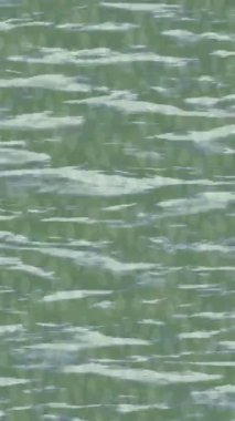 Dijital doku yüzey tasarım biçimi ile modern video animasyonu için gelişmiş hareket grafikleri