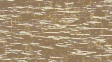 Benzersiz dijital hareket grafiklerine sahip yaratıcı sinematik projeler için yumuşak animasyon yüzeyi