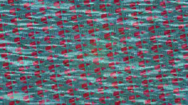 Benzersiz dijital animasyon tarzı grafikleri olan yaratıcı ortam tasarımı için yenilikçi hareket dokusu