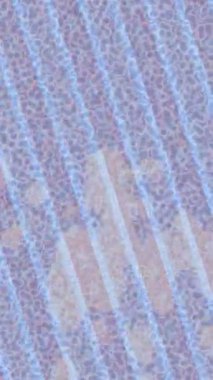 Lüks hareket tasarımı üst düzey video projeleri ve dijital sanat için zarif, pürüzsüz bir dokusu var.