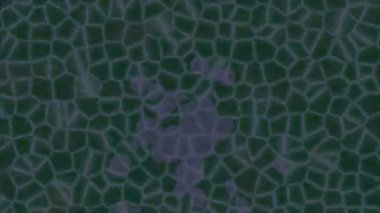 Benzersiz dijital animasyon tarzı grafikleri olan yaratıcı ortam tasarımı için yenilikçi hareket dokusu