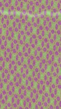 Yaratıcı video düzenleme film tasarımı için benzersiz hareket grafikleri biçimi giriş hareketi video pro