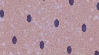 Yaratıcı video düzenleme film arkaplan tasarımı için minimalist organik hareket grafikleri