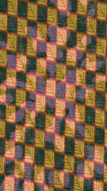 Dijital doku yüzey tasarım biçimi ile modern video animasyonu için gelişmiş hareket grafikleri