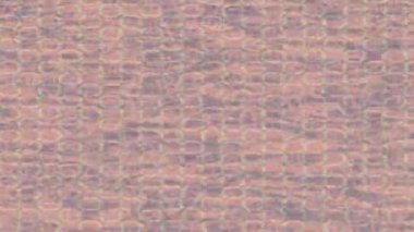 Profesyonel video projeleri sanat tarzı için organik hareketli arkaplan tasarımı