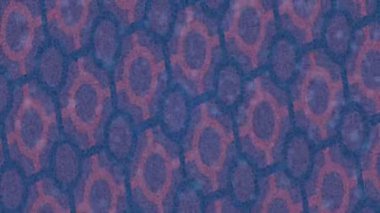 Estetik doku arkaplan tasarımı renkli hareket grafikleri ile moda film giriş profosyoneli