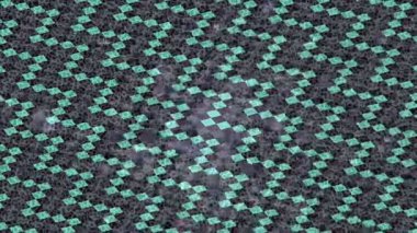 Dijital doku yüzey tasarım biçimi ile modern video animasyonu için gelişmiş hareket grafikleri