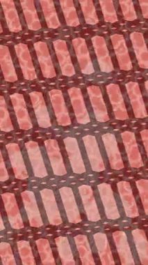 Benzersiz dijital hareket grafiklerine sahip yaratıcı sinematik projeler için yumuşak animasyon yüzeyi