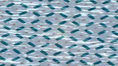 Benzersiz dijital hareket grafiklerine sahip yaratıcı sinematik projeler için yumuşak animasyon yüzeyi