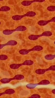 Benzersiz hareket dokusu tasarım sanatı ile profesyonel video düzenleme için modern soyut grafikler