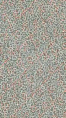 Organik desenli yüzey giriş stili video film sanatı ile soyut arkaplan tasarımı