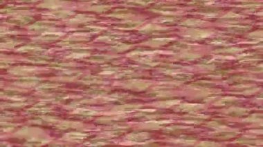 Benzersiz dijital hareket grafiklerine sahip yaratıcı sinematik projeler için yumuşak animasyon yüzeyi