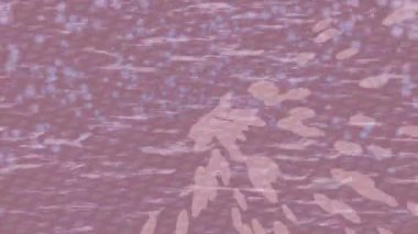 Soyut hareket desenli fütüristik video üretimi için dinamik dijital arkaplan