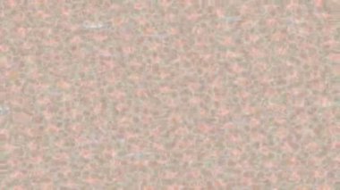 Yaratıcı video düzenleme film arkaplan tasarımı için minimalist organik hareket grafikleri