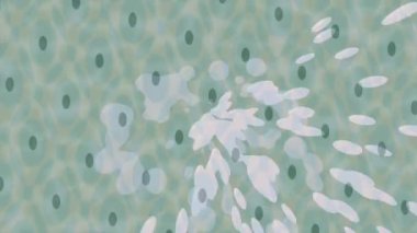 Yaratıcı video düzenleme film arkaplan tasarımı için minimalist organik hareket grafikleri