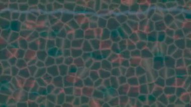 Organik desenli yüzey giriş stili video film sanatı ile soyut arkaplan tasarımı