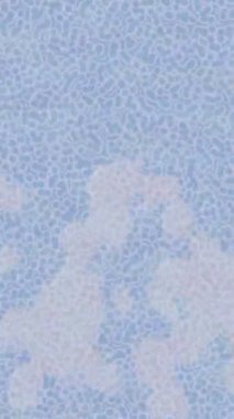 Dijital doku yüzey tasarım biçimi ile modern video animasyonu için gelişmiş hareket grafikleri