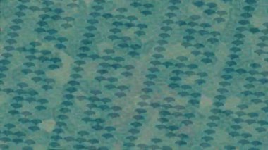 Lüks hareket projeleri için soyut tasarım stili animasyonu olan üst düzey dijital doku