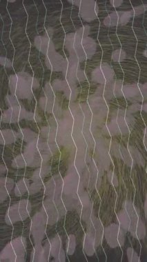 Yaratıcı video düzenleme film arkaplan tasarımı için minimalist organik hareket grafikleri